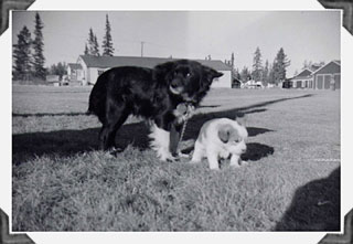 Trixie and first puppy