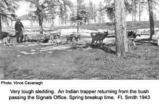 Dog sled - spring breakup