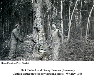 Cutting trees for antenna masts